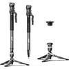 COMAN Monopiede per Fotocamera，Monopod Estensibile in Fibra di Carbonio con Piedini，65'' con Testa a Sfera a 360°，Sgancio Rapido Arca, Carico Massimo 10 kg