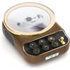 COLSUR Retro Lettore CD Portatile Bluetooth con Altoparlante Lettore musica da tavolo a parete con supporto Riproduzione TYPE-C/AUX Presa per cuffie Colore del legno