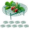Relaxdays Set da 10 Anelli di Supporto per Fragole, Sostegno in Plastica per Piante da Orto, Rete Anti Muffa, Verde, 10 x 30 cm