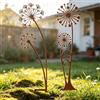 Crunier 2 Pezzi Decorazione da Giardino in Metallo arrugginito