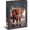 Ulmer Puzzleschmiede - Puzzle Gigante Rosso - Impressionante puzzle con 1000 pezzi - Il potente elefante di Tsavo/Africa grast nella savana - Puzzle con animali di qualità Made in Germany
