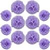 Ruidee 12 pompon di carta velina da appendere, 25,4 cm e 30,5 cm, fiori decorativi in carta colorata, per feste e matrimoni (viola chiaro)