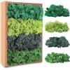 Avagiaforu Muschio Stabilizzato, 200g Muschio Finto per Decorazioni, Muschio Artificiale Decorativo con 5 Diversi Colori, Lichene Stabilizzato, Muschio di Renne Artificiale per Modellismo (Verde-4)