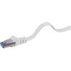 Renkforce - Cavo patch - da RJ-45 (M) a RJ-45 (M) - 20 m - U/FTP - CAT 6a - senza alogeni, stampato, senza gancio, piatto - Gr