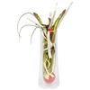 Stock Cash 59315 - Caraffa per salse Keo, 8 x 28,3 cm, 80 cl, vetro