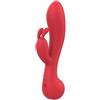 Dream Toys Amour Rabbit Vibe Camille Red 22 cm
