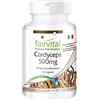 fairvital Cordyceps 500 mg, 90 capsule, facili da deglutire, 500 mg di polvere di fungo Cordyceps per capsula, ALTO DOSAGGIO, Cordyceps Sinensis (fungo del bruco), VEGANO