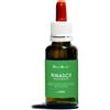 RINASCI DEPRESSIONE NATUR MIX - - 927493181