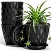 VINATO Set di 6 Vasi per Piante con Sottovaso, Nero, 10cm - Coprivaso in Plastica PP per Interni, per Piante Grasse, Succulente ed Erbe Aromatiche
