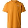 The North Face M Evolution Simple Dome Regular Short SL maglietta uomo