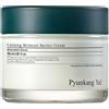 Pyunkang Yul Crema Lenitiva Idratante per la Barriera Cutanea 100 ml