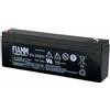 Fiamm Accumulatore 12 V 2 Ah, FG20201, Fiamm
