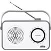 SILVA SCHNEIDER Radio Mono UKW/FM Batterie/Netz sw-grau M 295 TR