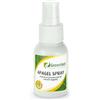 APA-CT SRL GREENVET APAGEL SPRAY 50 ML
