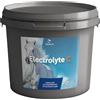 Electrolyte C Secchiello 3 kg