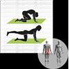 Schildköt Fitness SCHILDKRÖT FITNESS SK Fitness FITNESS MAT, (verde), m nessun colore -