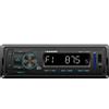 Blaupunkt Autoradio Blaupunkt BPA 1119 BT, senza meccanica, AUX frontale, controllo iPod, Bluetooth