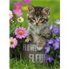 Ravensburger Spielverlag Puzzle Ravensburger - Gattino tra i fiori, 100 pezzi XXL