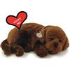 Perfect Petzzz 5519715 (Peluche laboratorio cioccolato, stampa animalier, 1