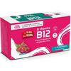 PALADIN PHARMA SpA SANAVITA B Vitamins B12 15 Flaconcini