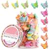 JASVERLIN Mini Mollette Farfalla, Y2K Ragazze Accessori Capelli 50 Pezzi