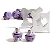 STUDIAMONDS Tacchetti di Gomma -14 Tacchetti TPU di Ricambio per Scarpe da Calcio-TPU Studs con 2 Chiave (Lilla traslucido)