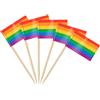 AhfuLife 100 Arcobaleno Bandiera Stuzzicadenti da Cocktail, Bandiere Stuzzicadenti per Panini, Tazze di Carta, Torte, Frutta, Stoviglie, Forniture per Feste, Decorazioni Bar (100 PCS, Arcobaleno)