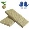 TXXATX 100 gomitoli di lana di roccia, 25 x 25 x 25 mm, Rockwool Cube con guanti in lana di roccia, isolamento Easy Plug per coltivare cubetti di lana di roccia per colture idroponiche talee senza