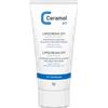 Ceramol Ceramol Lipocrema 311 Tubetto Da 100 Ml