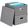 relaxdays Scatola Portaoggetti con Coperchio, Set Doppio, Cestini Pieghevoli da 25 L l'uno, Box 20,5x34,5x42, Grigio