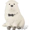 Banpresto - Figurki Spy X Family Bond Forger Ver.A 8cm Fluffy Puffy Anime