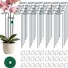 MENGBEI 30 Pali di Supporto per Piante a Stelo Singolo con 30 Clip e Fascette Autoadesive, per Pomodori, Rose e Piante Rampicanti