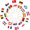AhfuLife 100pz Bandiere con Stuzzicadenti a Tema Calcio Europeo, Bandiere per Alimenti Europei, Bandiere per Cocktail 24 Nazioni, Decorazioni per Eurovision, Decorazioni per Cupcake