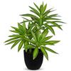 Oairse - Pianta artificiale grande da 41 cm in vaso, pianta artificiale Dracaena, piante in vaso decorative finte, pianta artificiale tropicale da interno per casa, bagno, cucina, decorazione, verde
