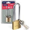 APECS Lucchetto lungo per esterni e per uso interno con 3 chiavi, 30 mm, serratura per cantina, serratura per container, serratura di sicurezza con staffa a U PDB-04-30-L