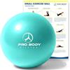 ProBody Pilates Palla piccola da ginnastica da 9 pollici, palla da allenamento per stabilità, pancia, tronco, fisioterapia e fisioterapia per palestra (acqua)