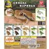 Bandai Rospo foresta verde albero rana collezione set completo 5 capsule giocattolo ...