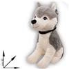 PELUCHE HUSKY GIGANTE 60 CM