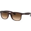 Ray-Ban Rayban Andy Nylon Frame Brown Gradient Lens Unisex Sunglasses RB4202 607313 55-17