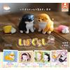 Shiba Inu living 2 cani set completo 8 capsule giocattolo Gacha NUOVO