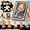 NUOVO Catturato Cane 3 Mascotte Ball Chain Set Completo 5 Capsule Giocattolo ...