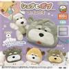 shuna e bobu face pouch cane set completo 4 capsule giocattolo Gacha Japan JP...