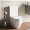 Parama Vaso filomuro monoblocco tornado silent flush e sedile soft-close | Roma