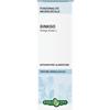 ERBA VITA GROUP SpA Erba Vita Ginkgo Biloba Soluzione Idroalcolica 50 ml - Integratore per Circolazione e Memoria