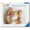 Ravensburger Puzzle 500 Pezzi Gattino Sognatore - Puzzle Adulti +14 anni, 49 x 36 cm, Puzzle per Adulti Animali, Collezione Puppies, Idee Regalo
