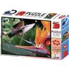 Toybox Puzzle 3D Colibri 500Pz