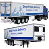Tamiya 1/14 RC Big Truck No.19 3-Axle Reefer Semi-Rimorchio 56319 Polar...