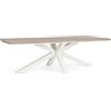 Bizzotto Tavolo zelmar 260x118 vapor YK15/timber