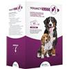 Youact Glico 30 Bustine - Mangime Complementare Ipocalorico, Contribuisce al Mantenimento del Peso Corporeo Ideale, Contribuendo A Ridurre I Rischi Associati al Sovrappeso E All'Obesità del Cane.