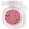 TINTARK Cheeky Blush Palette, Fard in Polvere Make up Viso, Resistente All'acqua e Al Sudore, Lunga Durata, Matte, Adatto a Diversi Gruppi Di Pelle, Talc Free, 2.7g(05)